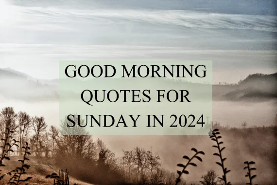 45 Good Morning Quotes For Sunday In 2024