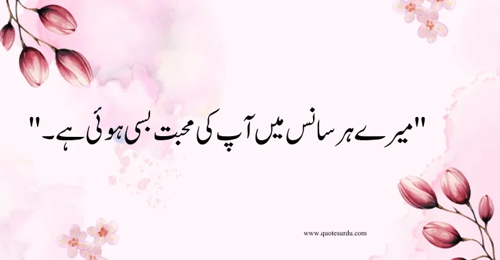 35 Love Quotes For Wife In Urdu  2024 