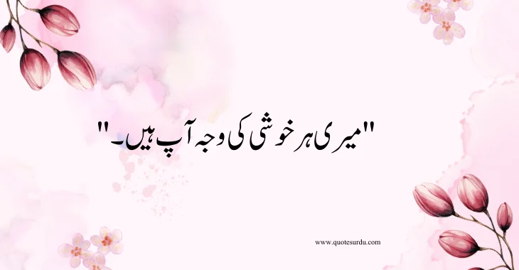 35 Love Quotes For Wife In Urdu  2024 