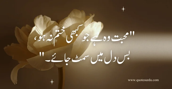 35 Love Quotes In Urdu Text 2024