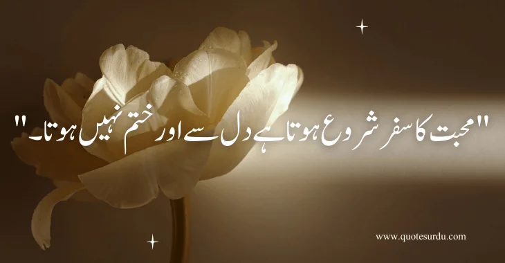 35 Love Quotes In Urdu Text 2024