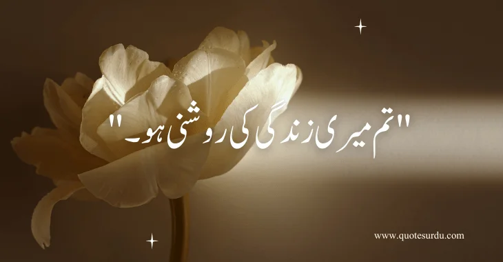 35 Love Quotes In Urdu Text 2024