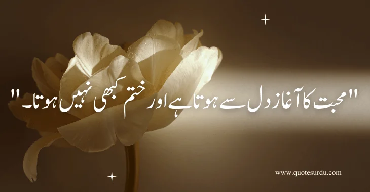 35 Love Quotes In Urdu Text 2024