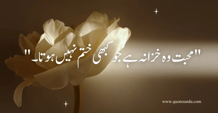 35 Love Quotes In Urdu Text 2024