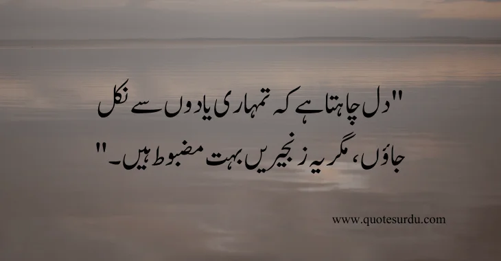 35 Sad Love Quotes In Urdu 2024