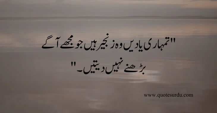 35 Sad Love Quotes In Urdu 2024