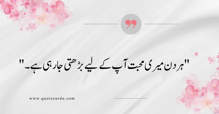 35 Husband Love Quotes In Urdu 2024