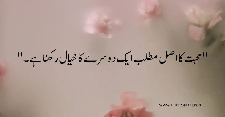 35 husband-wife love quotes in Urdu 2024