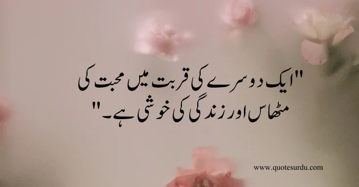 35 husband-wife love quotes in Urdu 2024